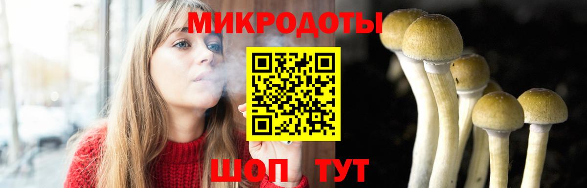 магазин    Галлюциногенные грибы GOLDEN TEACHER  Вход с VPN  Гурьевск 